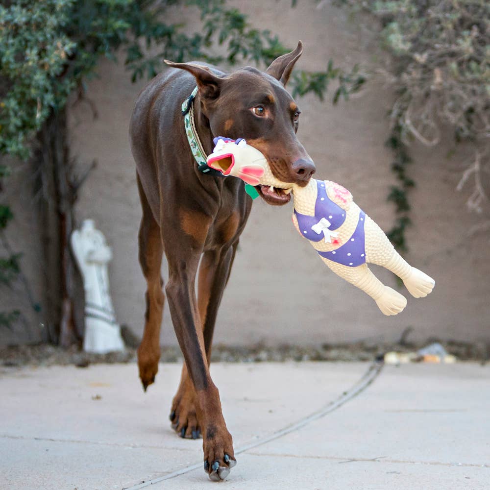 Outward Hound Squawkers Latex Rubber Henrietta Chicken Large