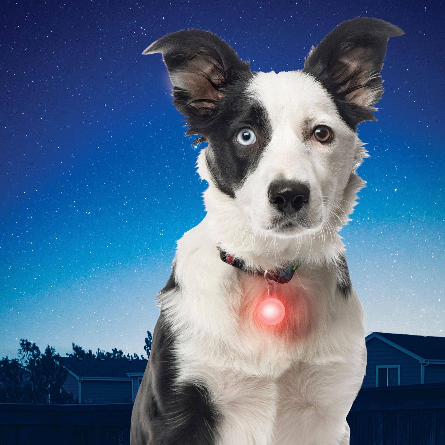 Nite Ize SpotLit Collar Light - Orange Plastic