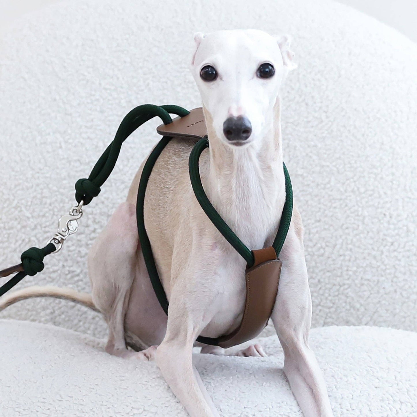 Hozi - Essential Harness - Deep Green