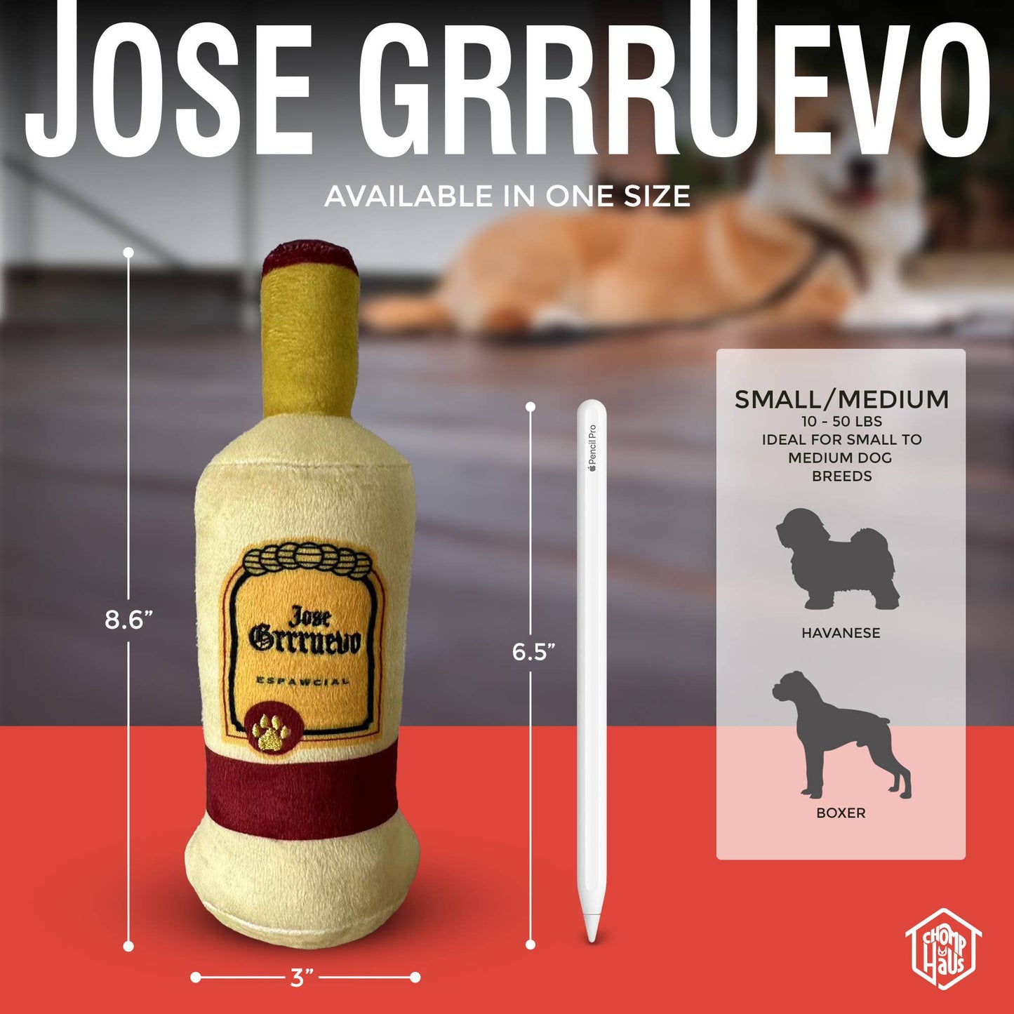 Chomp Haus - Jose Grrruevo – Plush Squeaky Designer Dog Toy