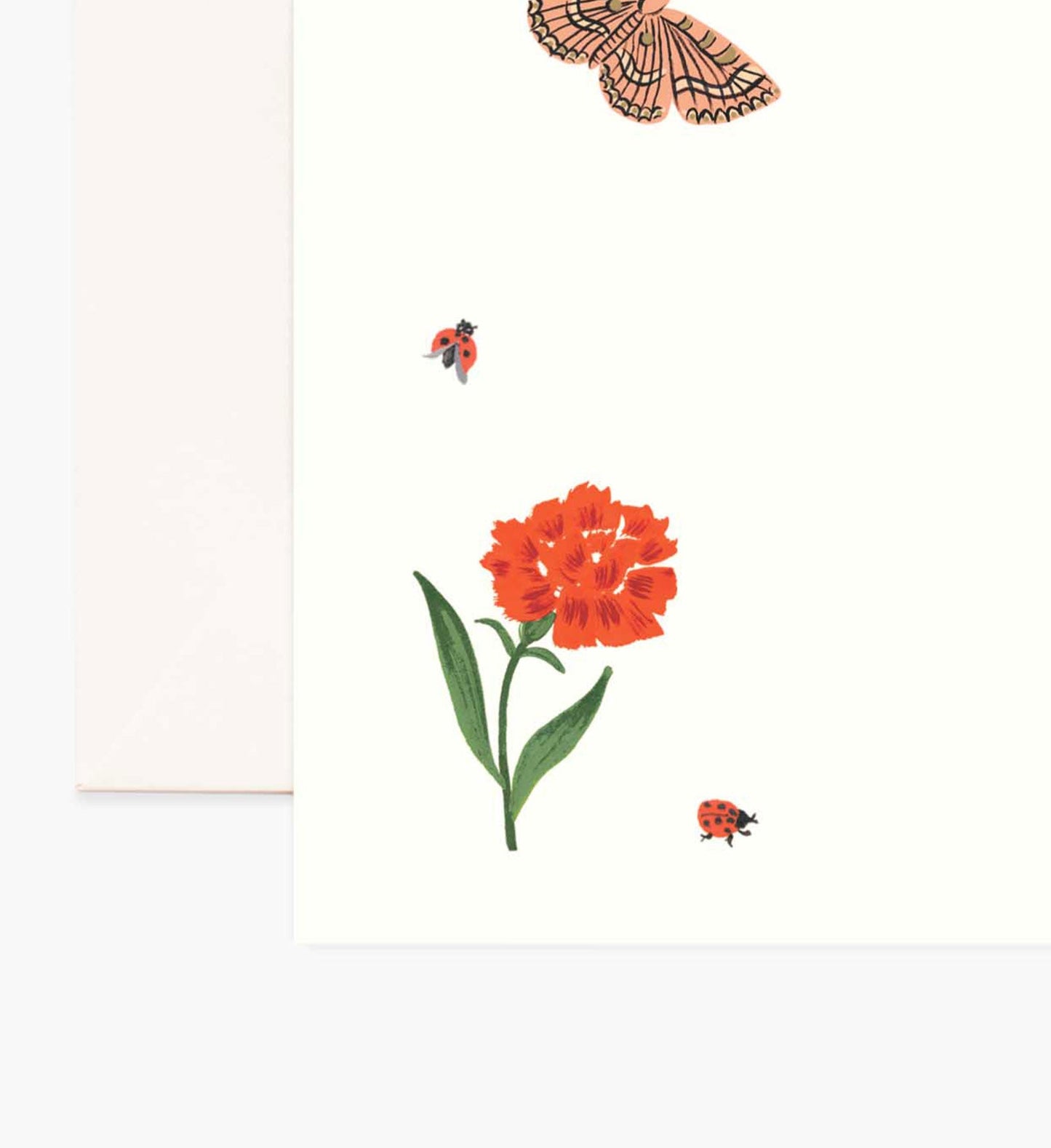 Everyday Personalized Stationery - Curio