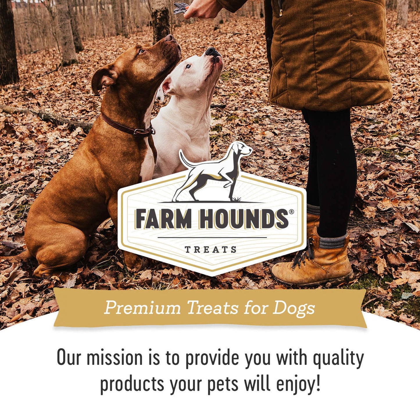 Farm Hounds - Turkey Gizzard Trainer - All-Natural Dog Treats - 4oz