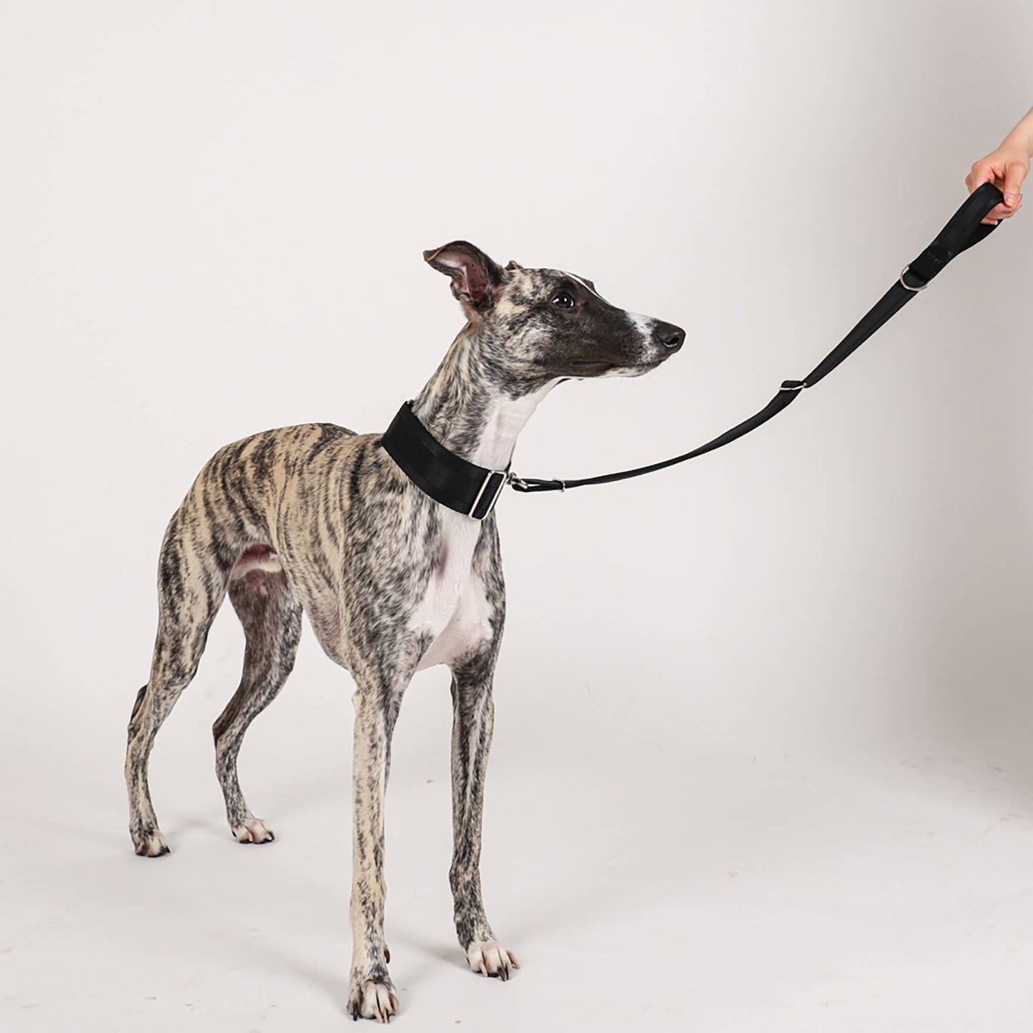 Hozi - Half Leash : Black