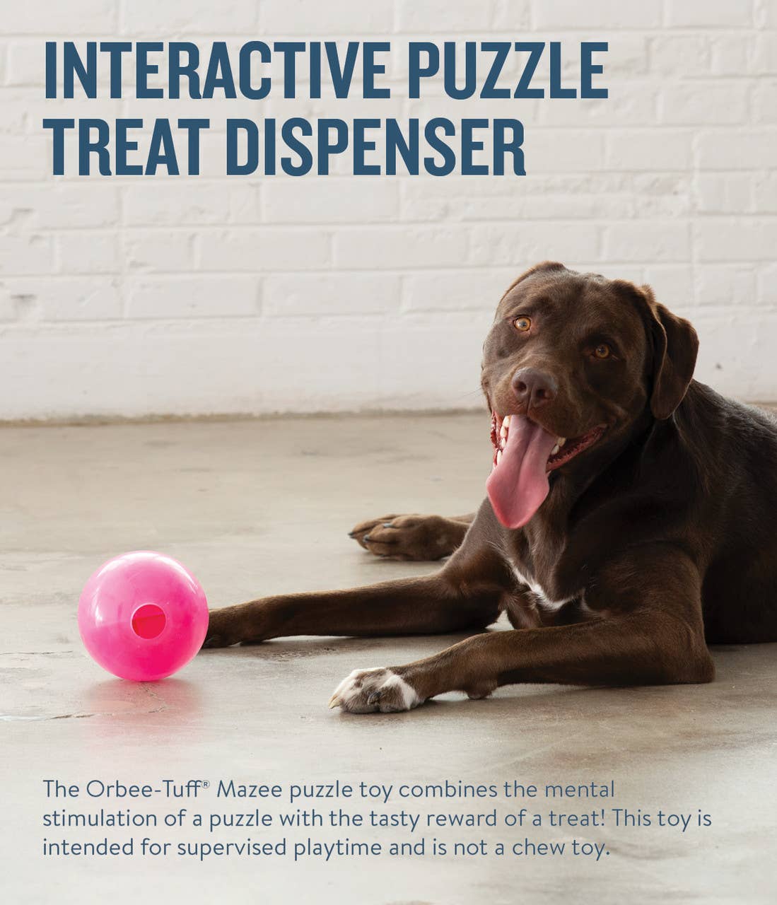 Planet Dog Orbee-Tuff Mazee Interactive Puzzle Dog Toy Pink