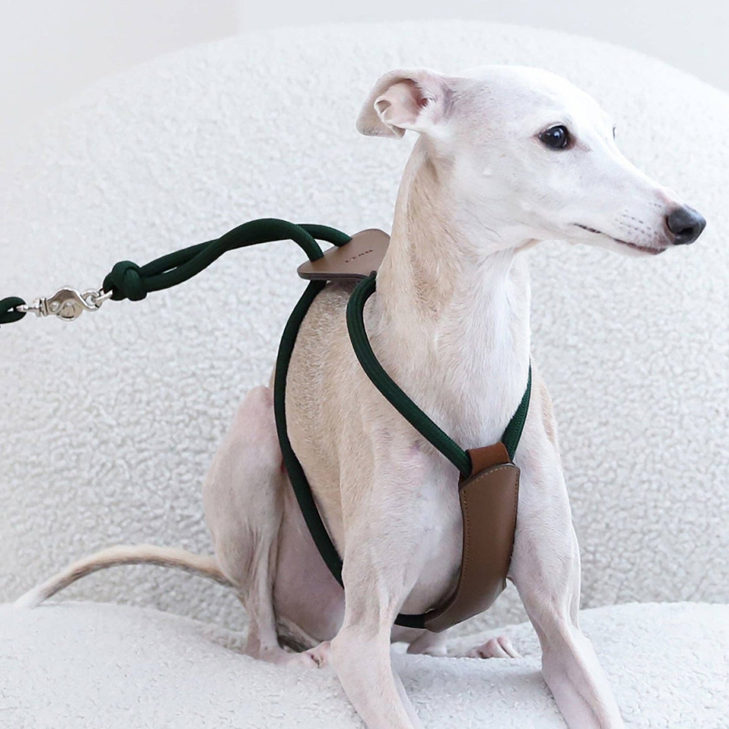 Hozi - Essential Harness - Deep Green