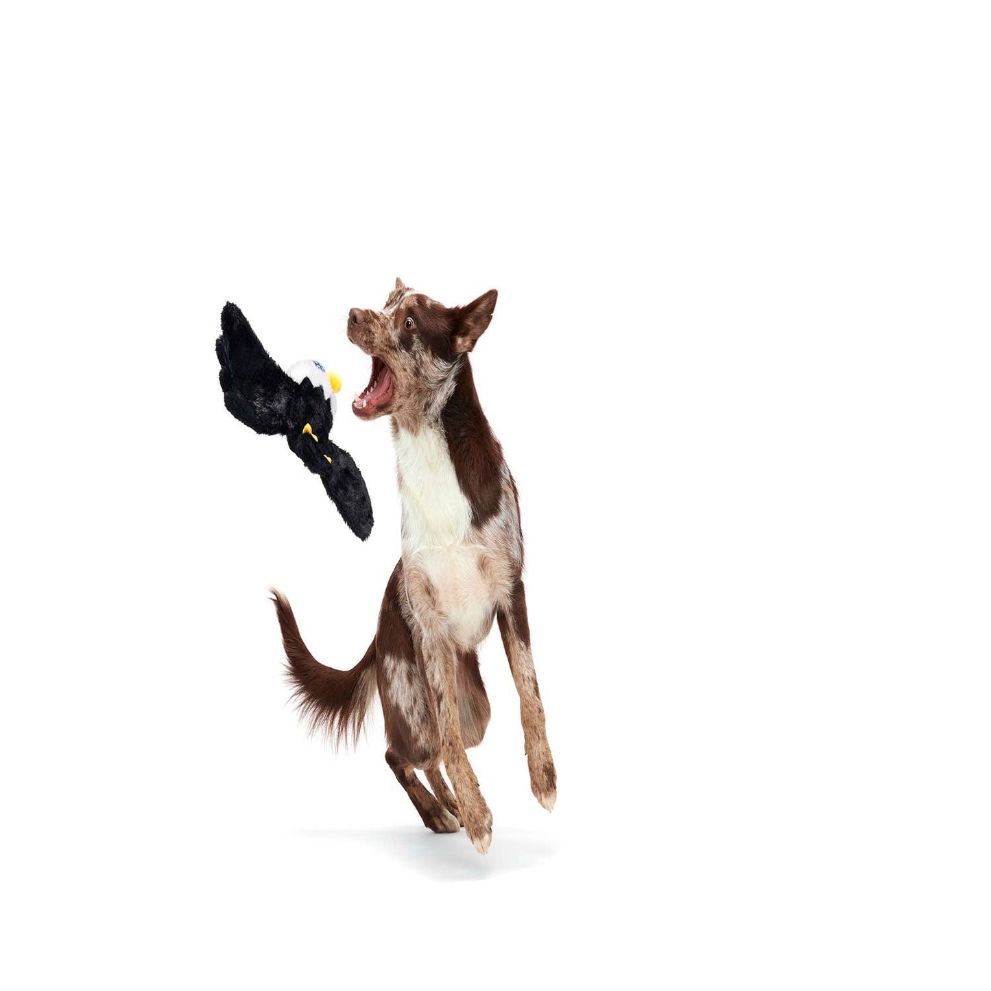 Pet Palette Distribution - BARK Bold Eagle Fourth Of July American Plush Dog Toy