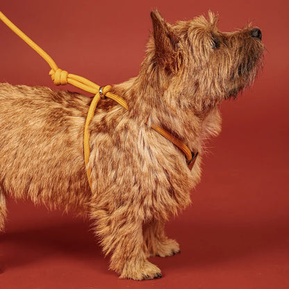 Hozi - All-in-one Harness : mustard