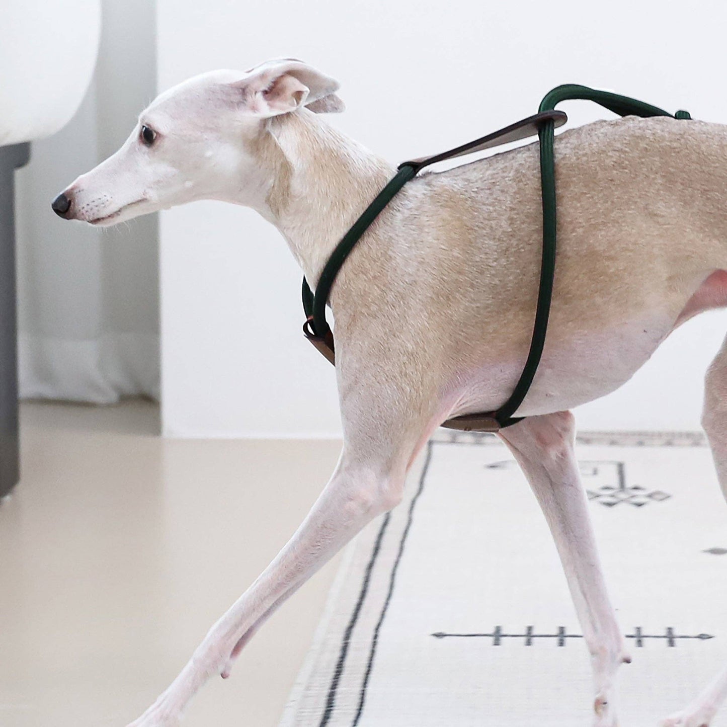 Hozi - Essential Harness - Deep Green
