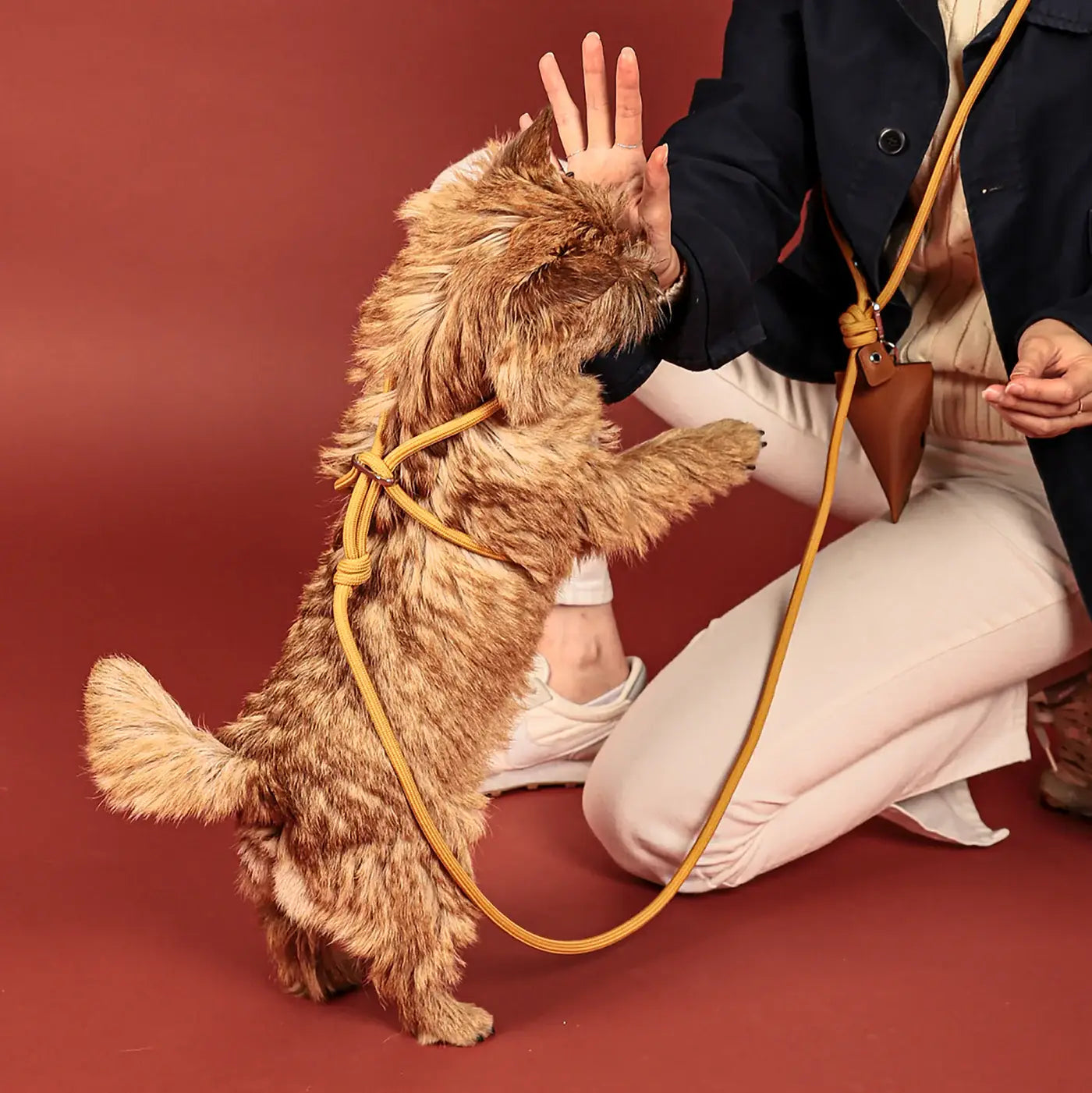 Hozi - All-in-one Harness : mustard