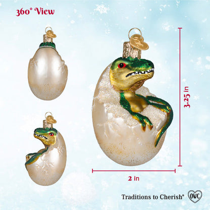 Baby Dino In Egg Ornament