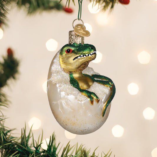 Baby Dino In Egg Ornament