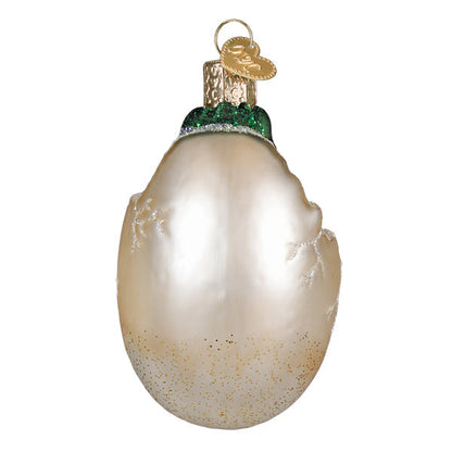 Baby Dino In Egg Ornament
