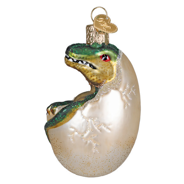 Baby Dino In Egg Ornament