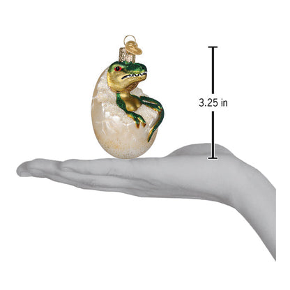 Baby Dino In Egg Ornament