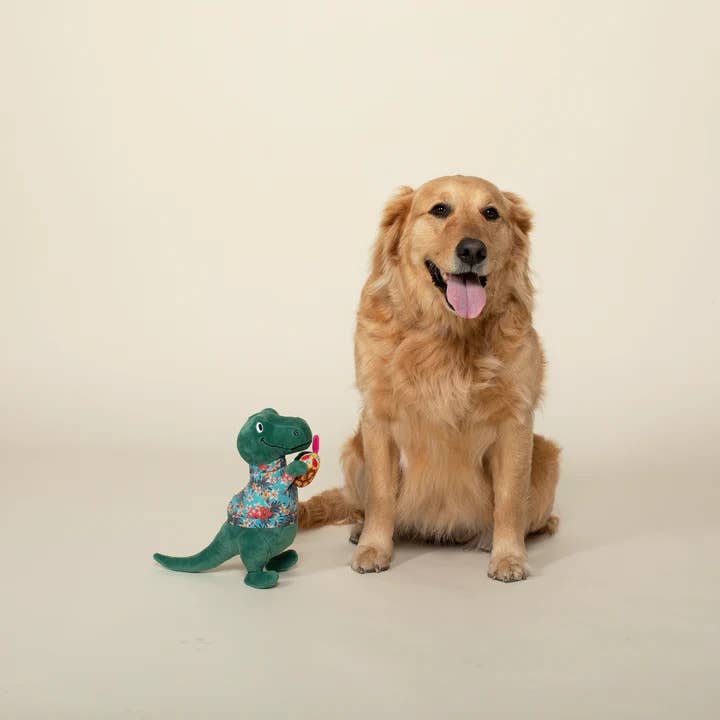 PetShop by Fringe Studio It's 5 O'Clock Somewhere Dog Toy