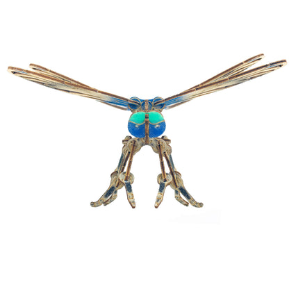Arthropoda: Dragonfly