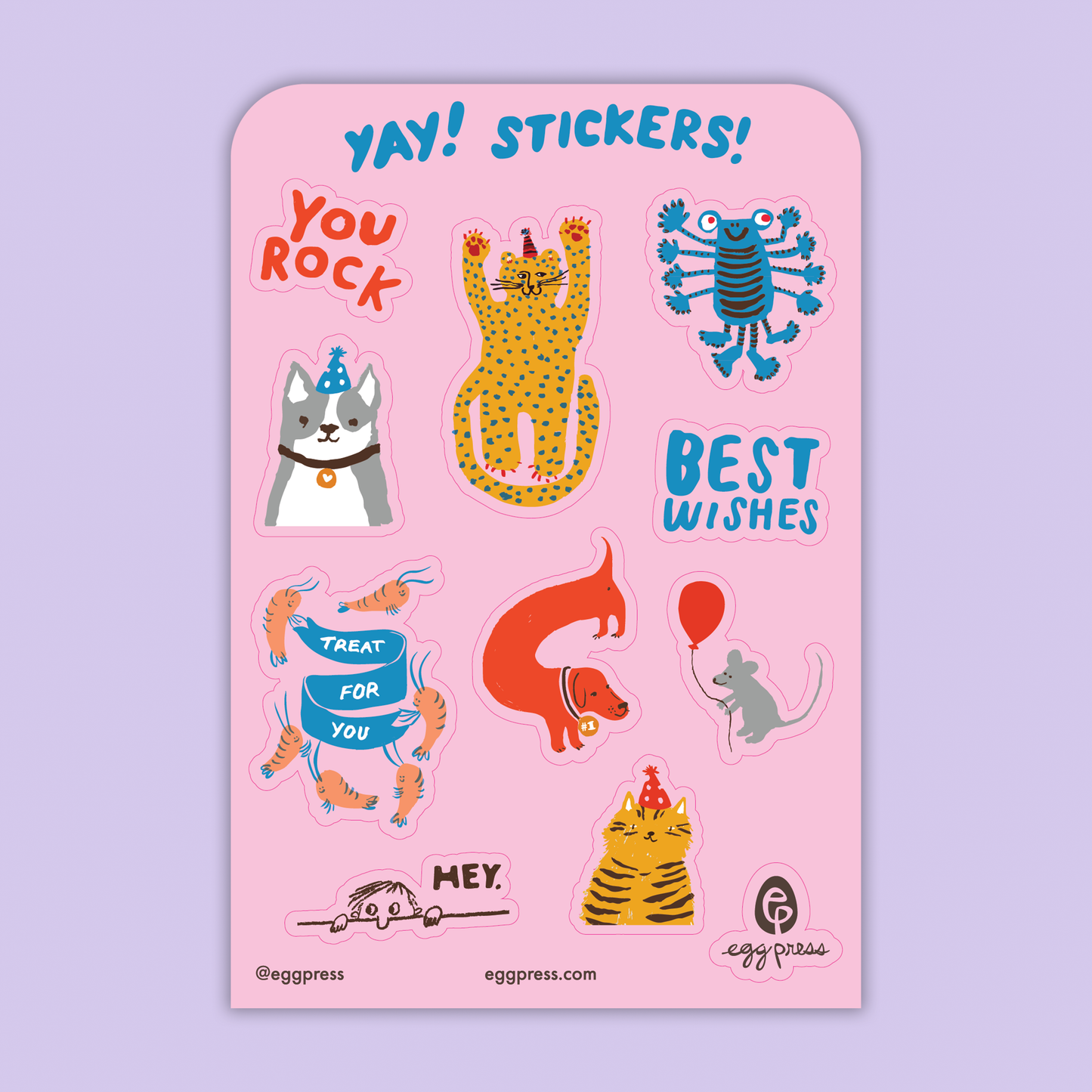 Card & Sticker Sheet Set - Party Cheetah Bday