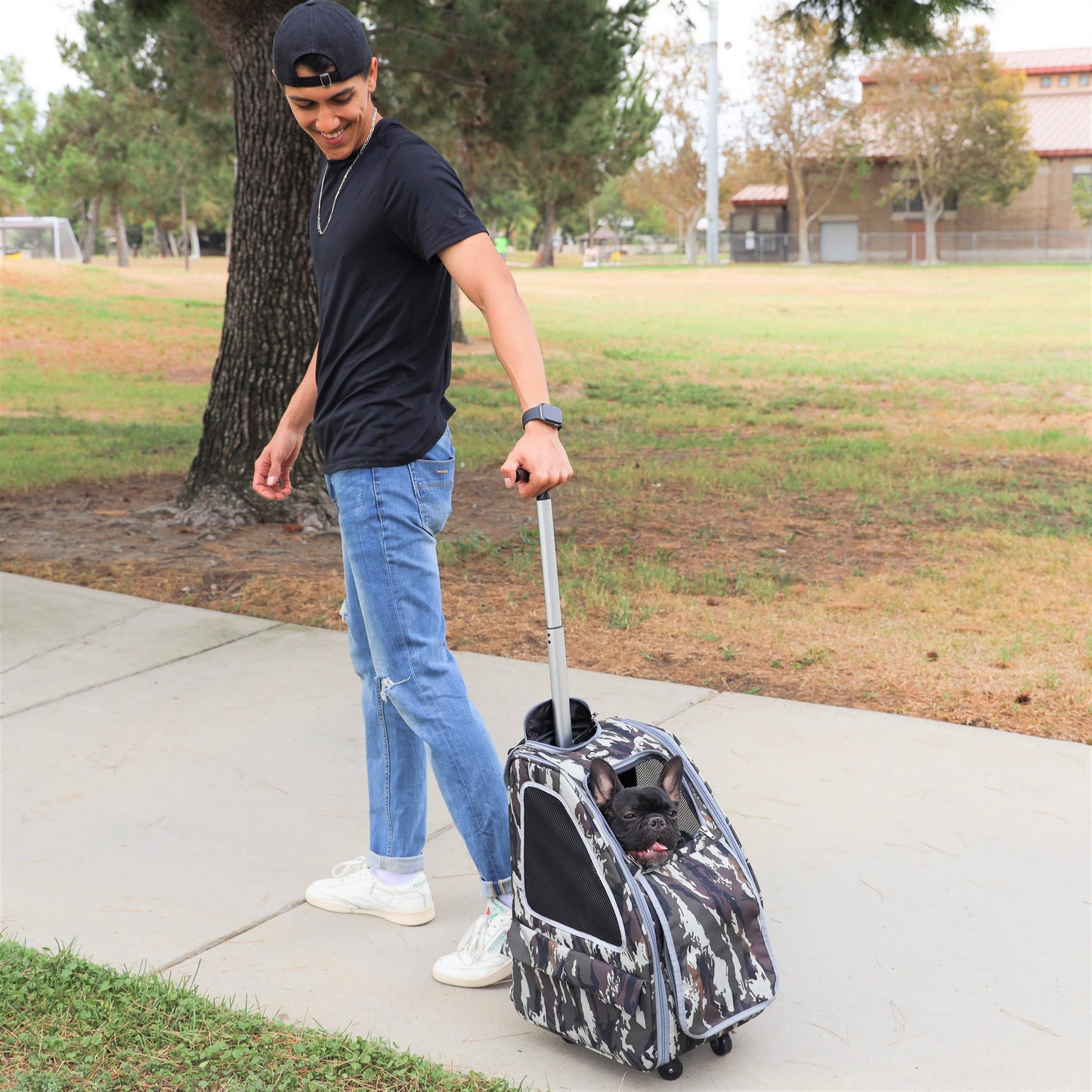 Petique, Inc - 5-in-1 Pet Stroller (Complete Set)