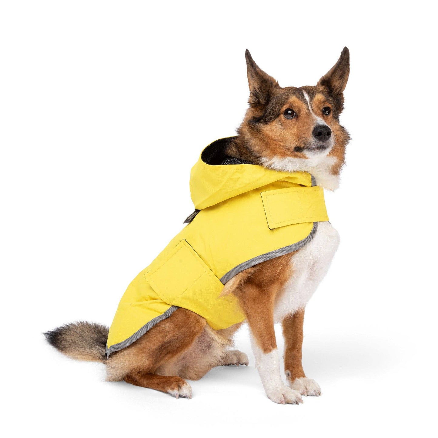 Nandog Pet Gear - Rain Coat Nandog Sport Collection: L
