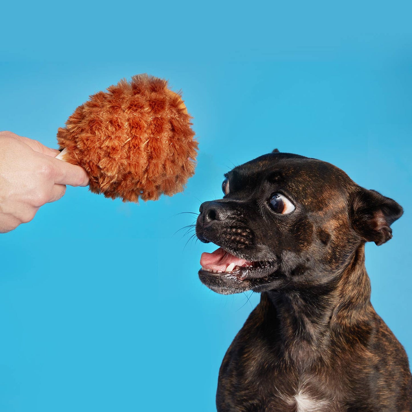 Pet Palette Distribution - BARK Tavern Turkey Leg Plush Food Dog Toy ALL