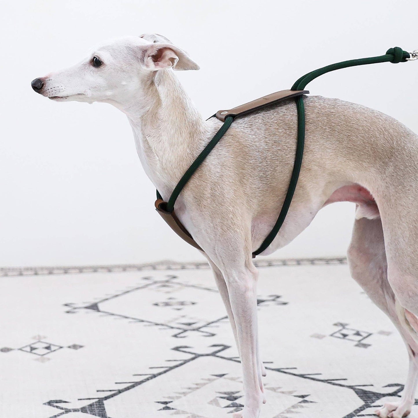 Hozi - Essential Harness - Deep Green