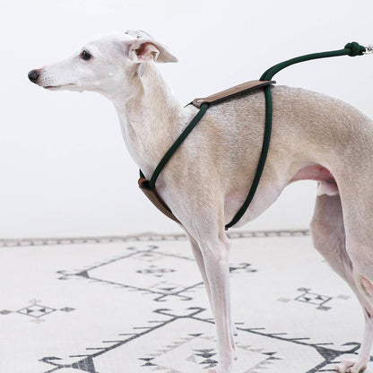 Hozi - Essential Harness - Deep Green