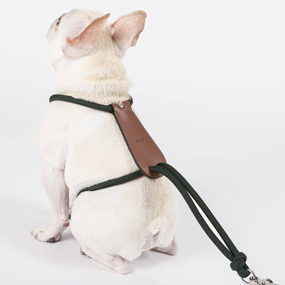 Hozi - Essential Harness - Deep Green