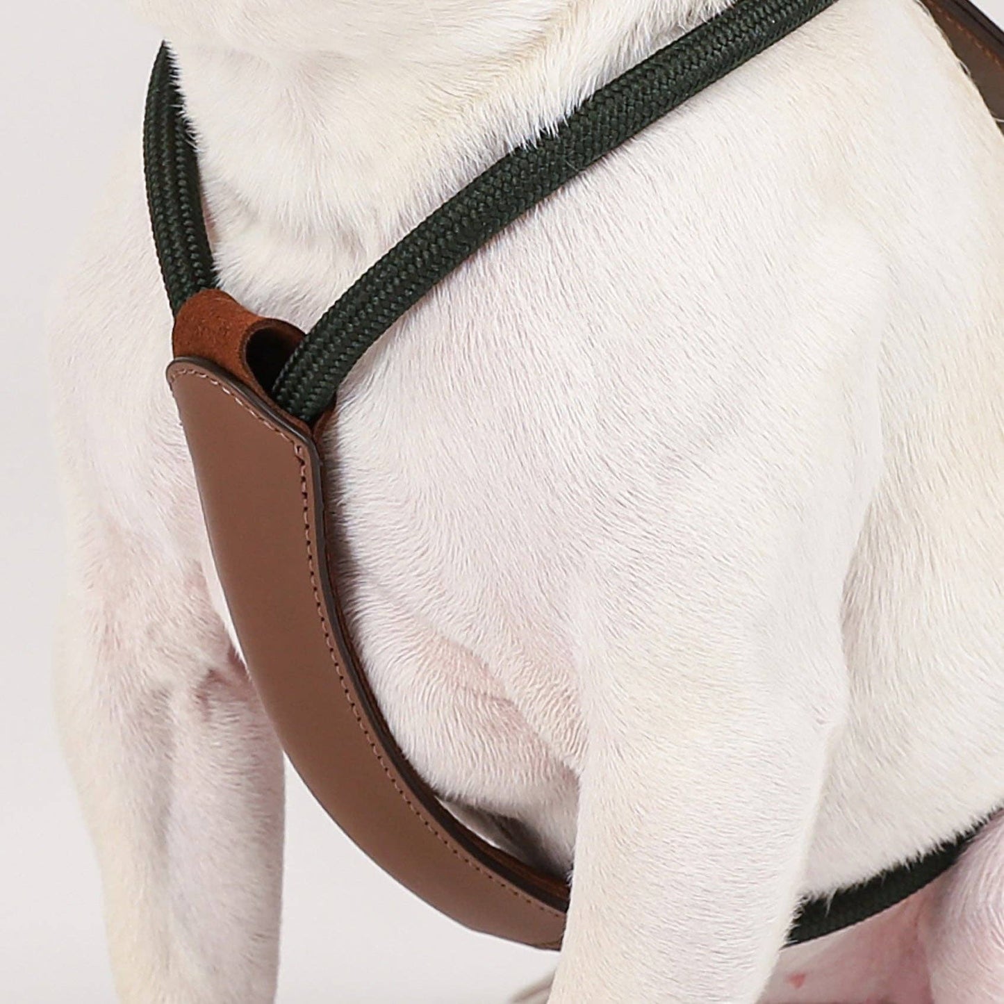 Hozi - Essential Harness - Deep Green
