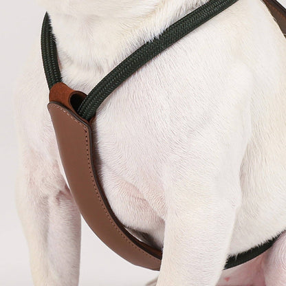 Hozi - Essential Harness - Deep Green