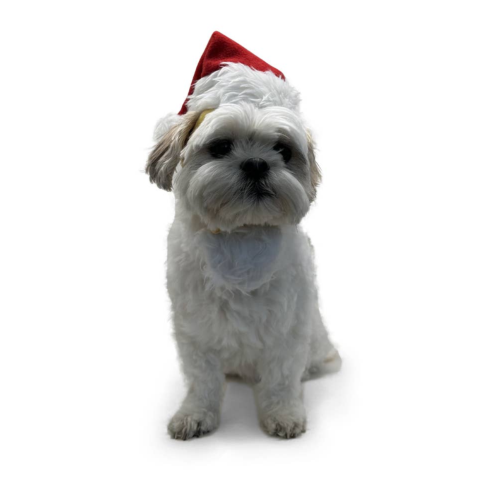 Dogo Pet - Santa Hat