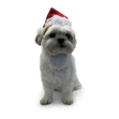 Dogo Pet - Santa Hat