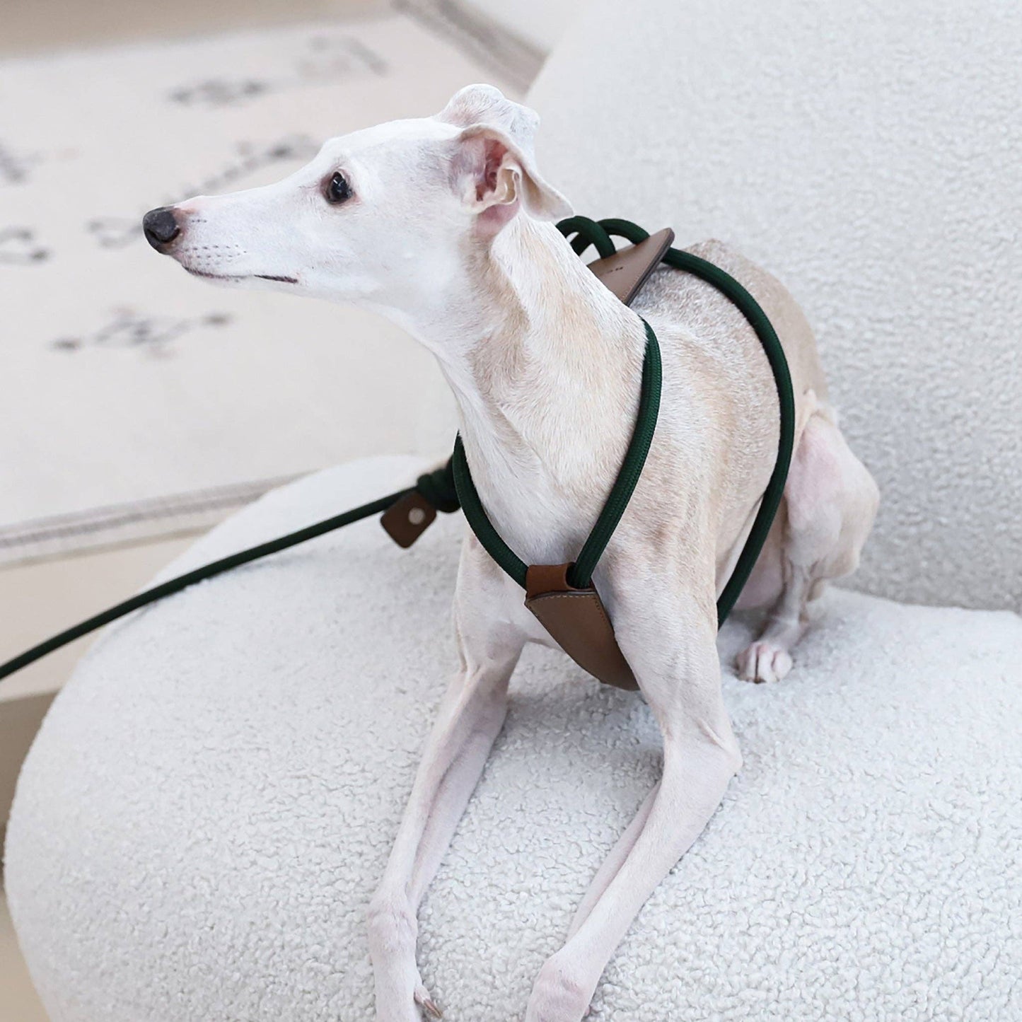 Hozi - Essential Harness - Deep Green