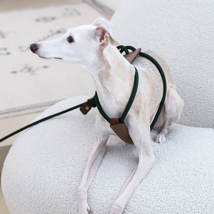 Hozi - Essential Harness - Deep Green