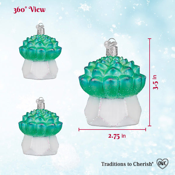 Echeveria Succulent Ornament