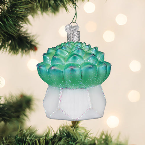 Echeveria Succulent Ornament
