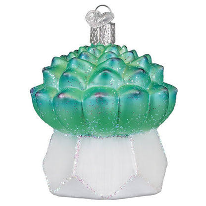 Echeveria Succulent Ornament