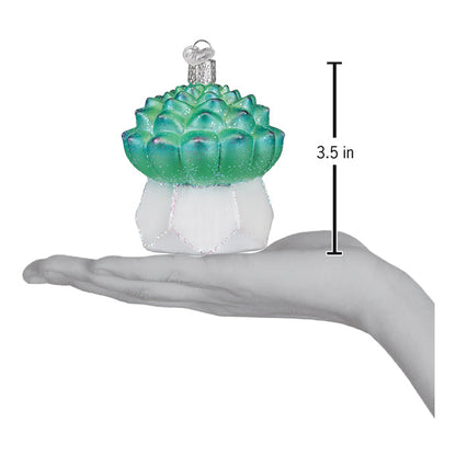 Echeveria Succulent Ornament