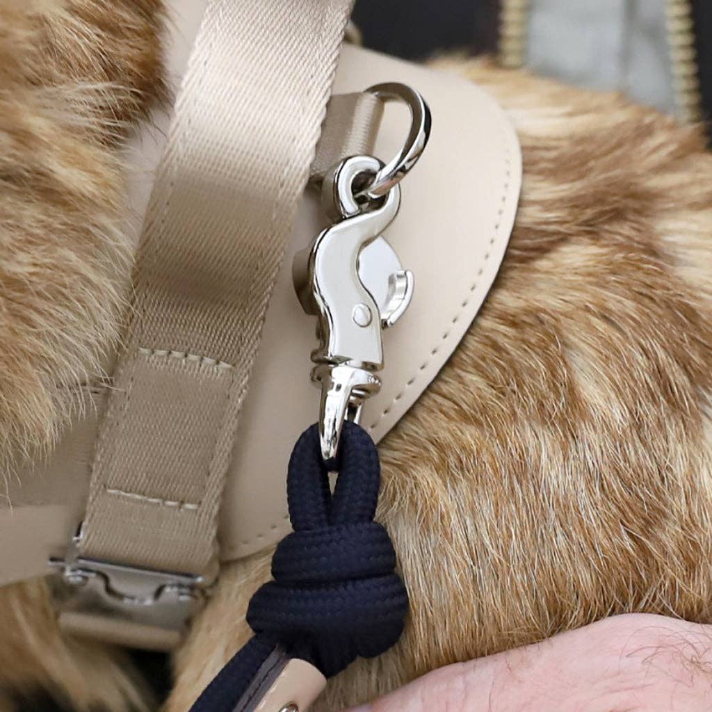 Hozi - [NEW] Essential Leash - Black