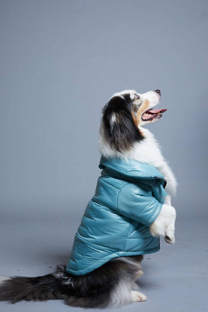 maxbone - Glossy Puffer Jacket