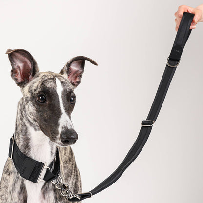 Hozi - Half Leash : Black