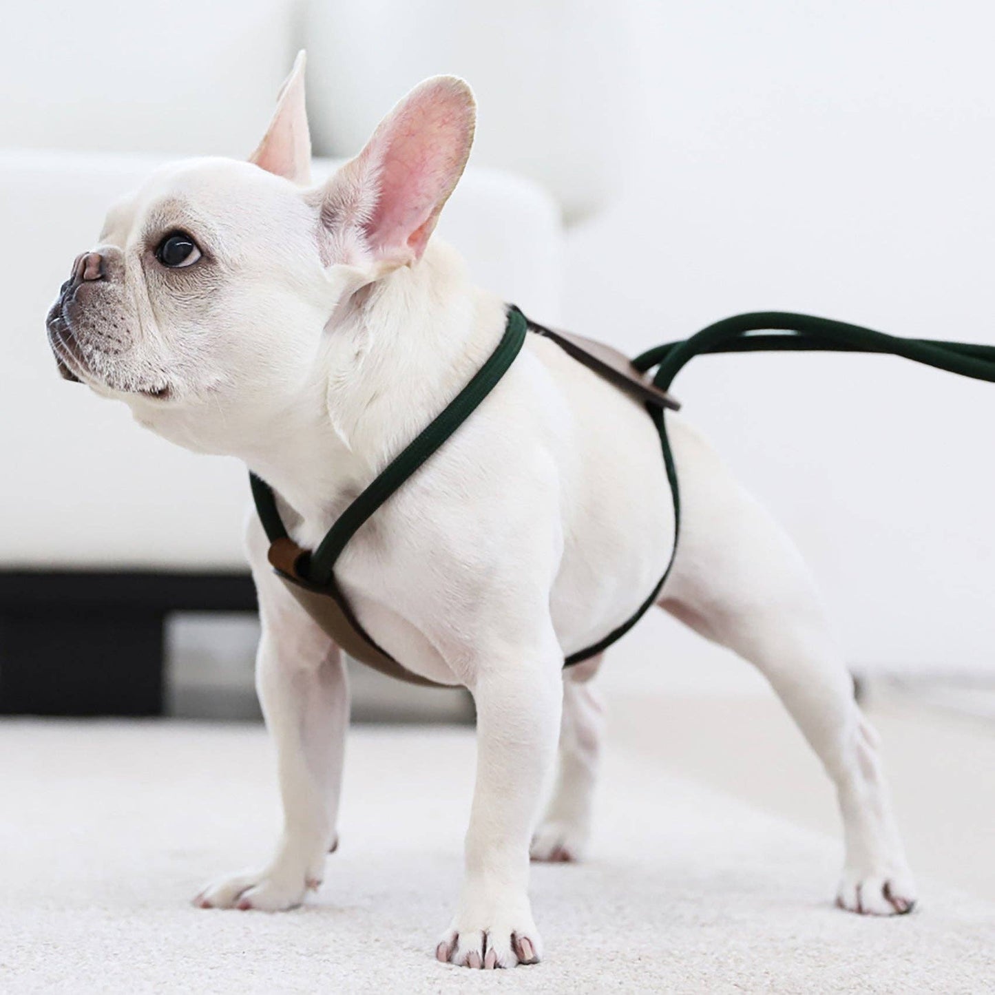 Hozi - Essential Harness - Deep Green
