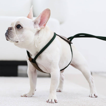 Hozi - Essential Harness - Deep Green