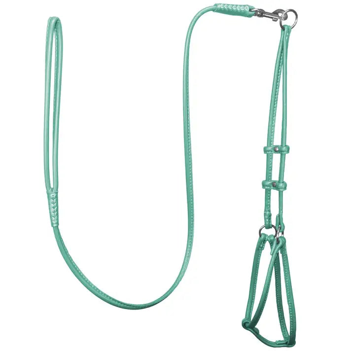 Dogbar Step-in Soft Round Leather Dog Harness  w/Leash