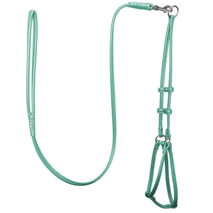 Dogbar Step-in Soft Round Leather Dog Harness  w/Leash