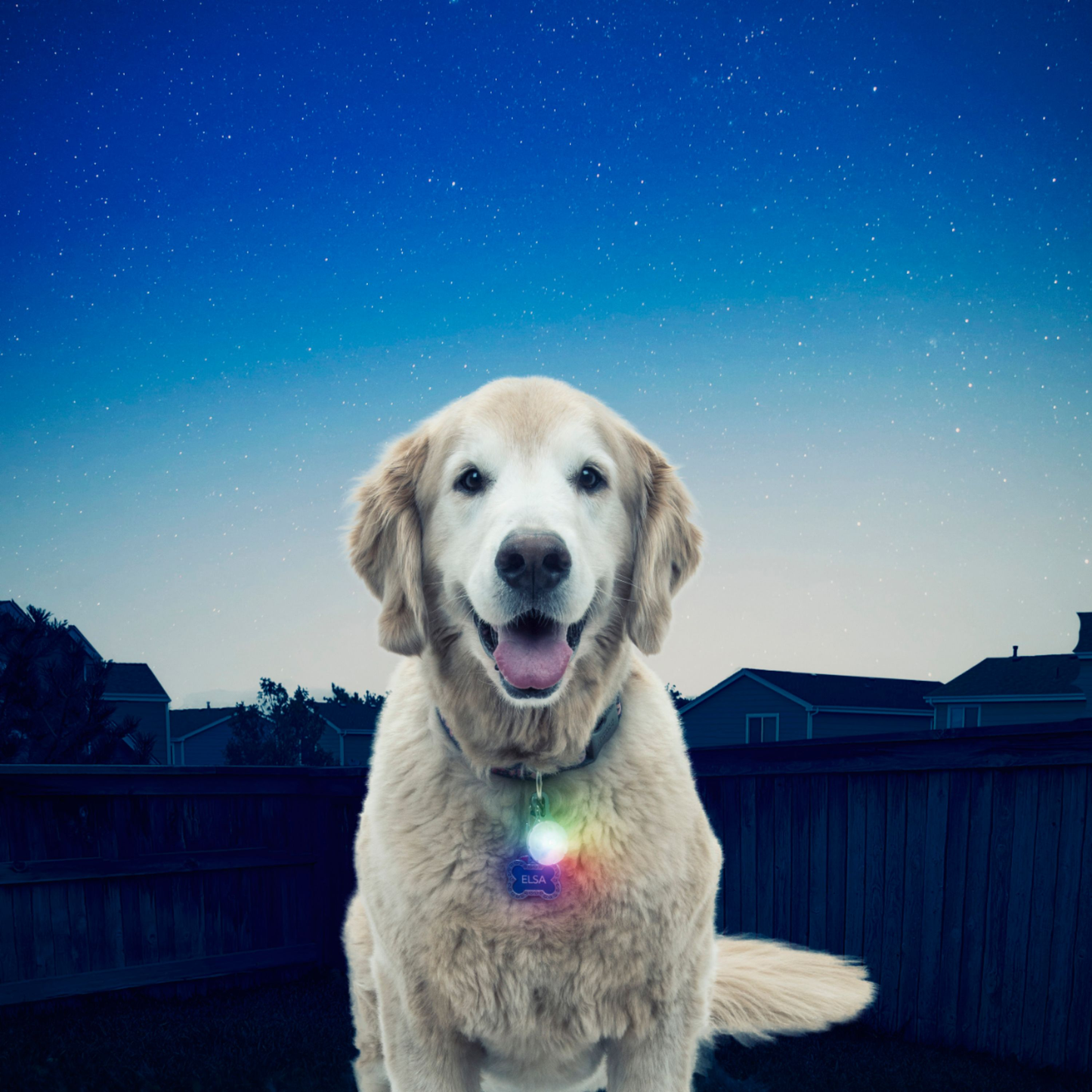 Nite Ize SpotLit Collar Light Disc-O Select