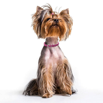 Dogline - Soft Leather Round Collar