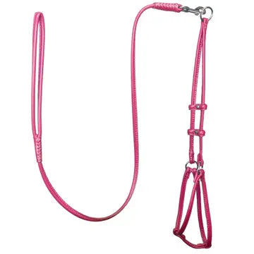 Dogbar Step-in Soft Round Leather Dog Harness  w/Leash