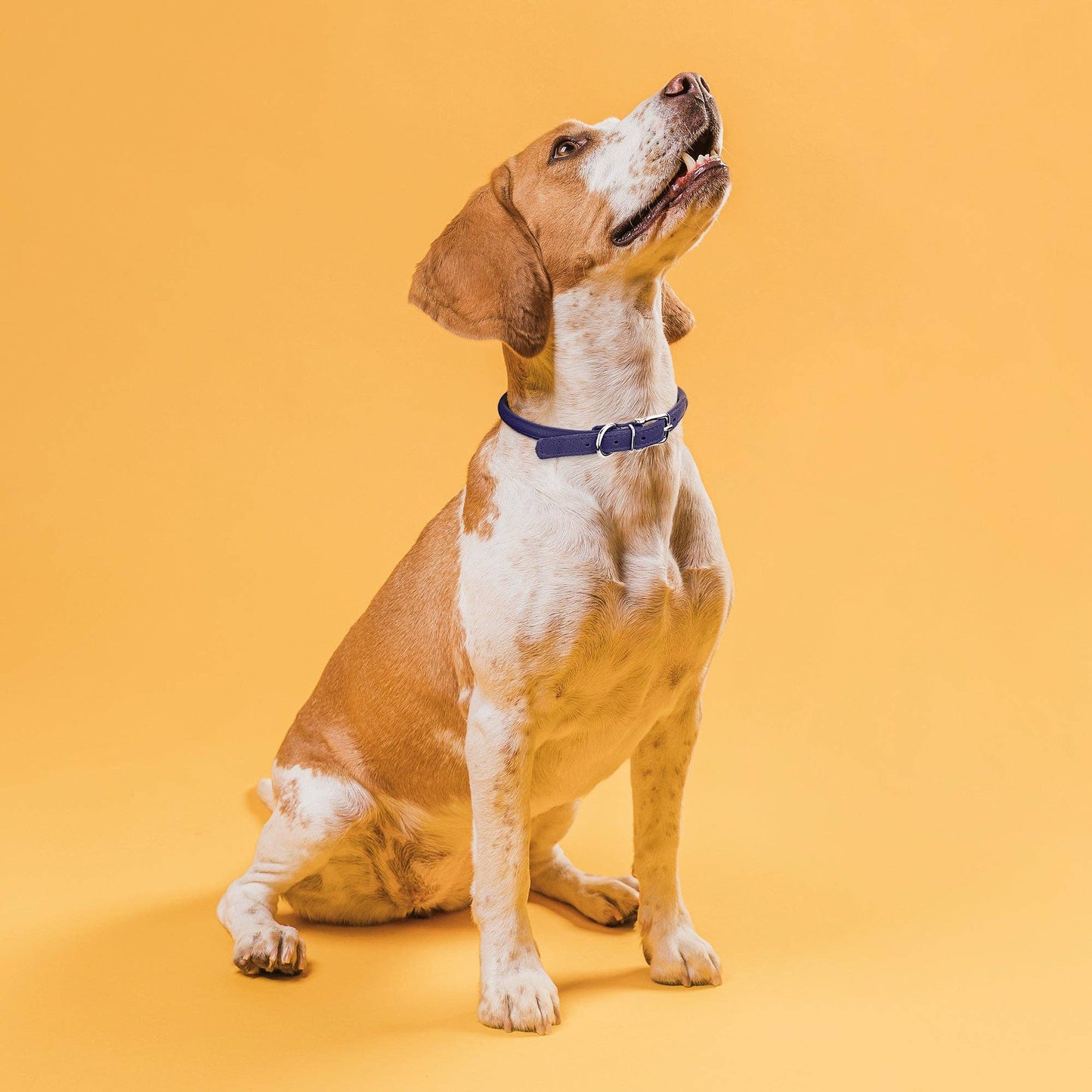 Dogline - Soft Leather Round Collar