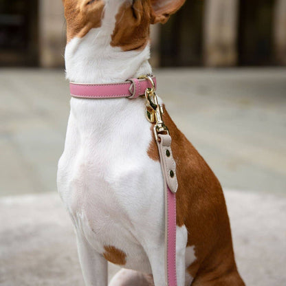 Nina Woof - Leash 4ft - Vegan Leather - Rio
