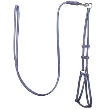 Dogbar Step-in Soft Round Leather Dog Harness  w/Leash